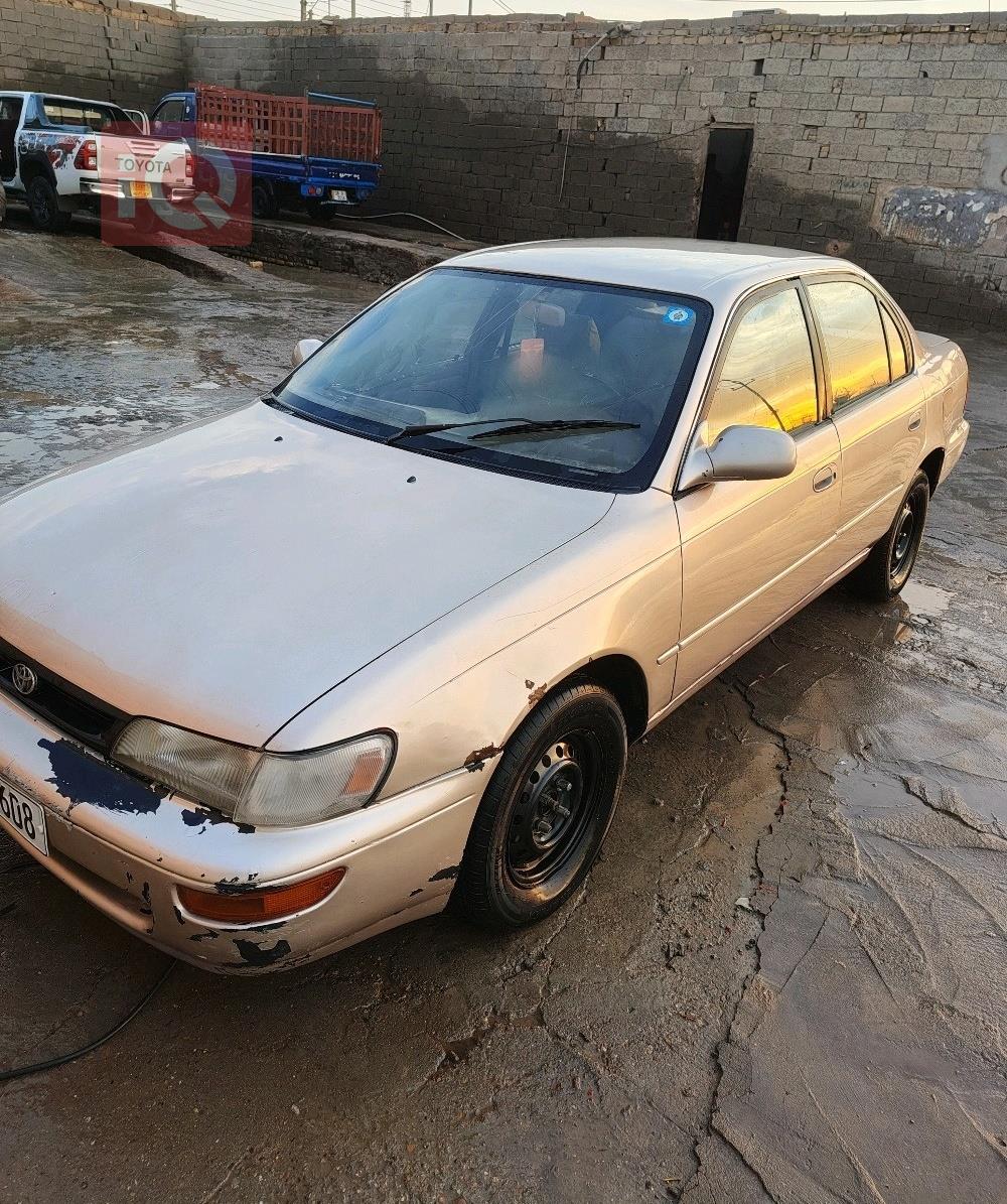 تويوتا كورولا